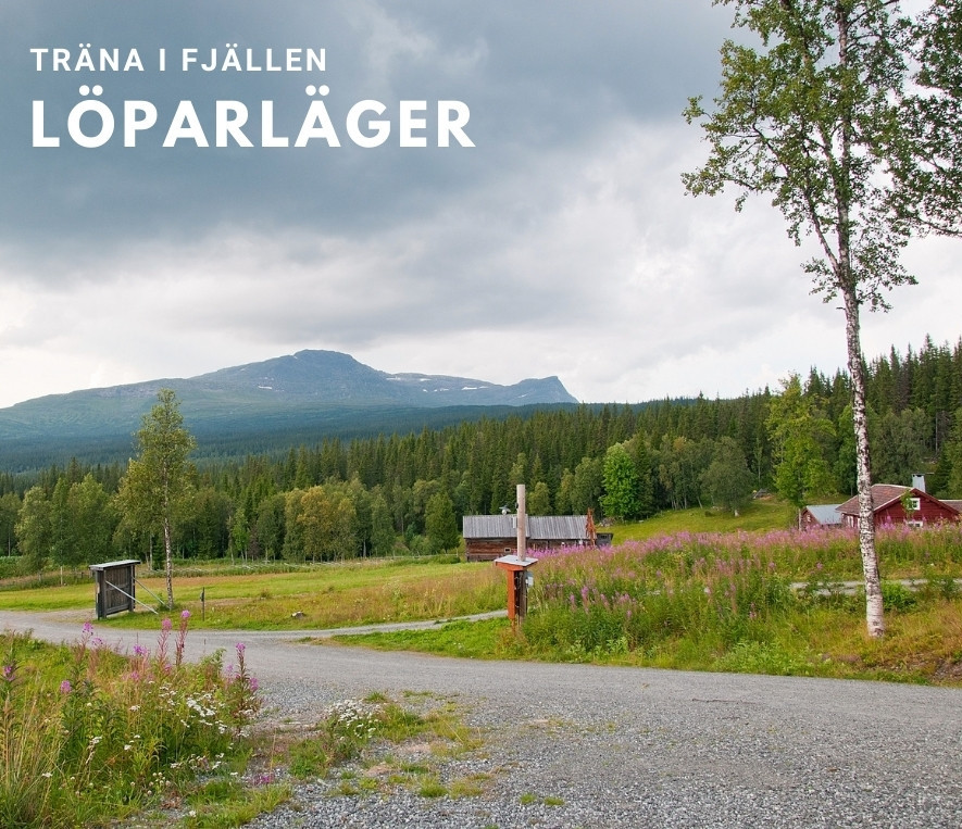 Loparlager fjallen sverige