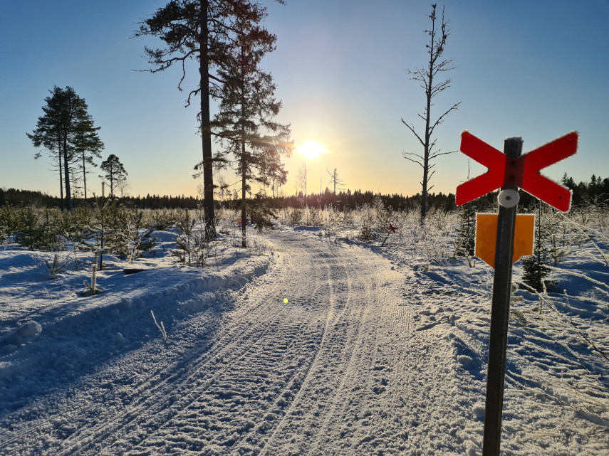 Hårt preparerad skoterled som går bra att gå eller springa på